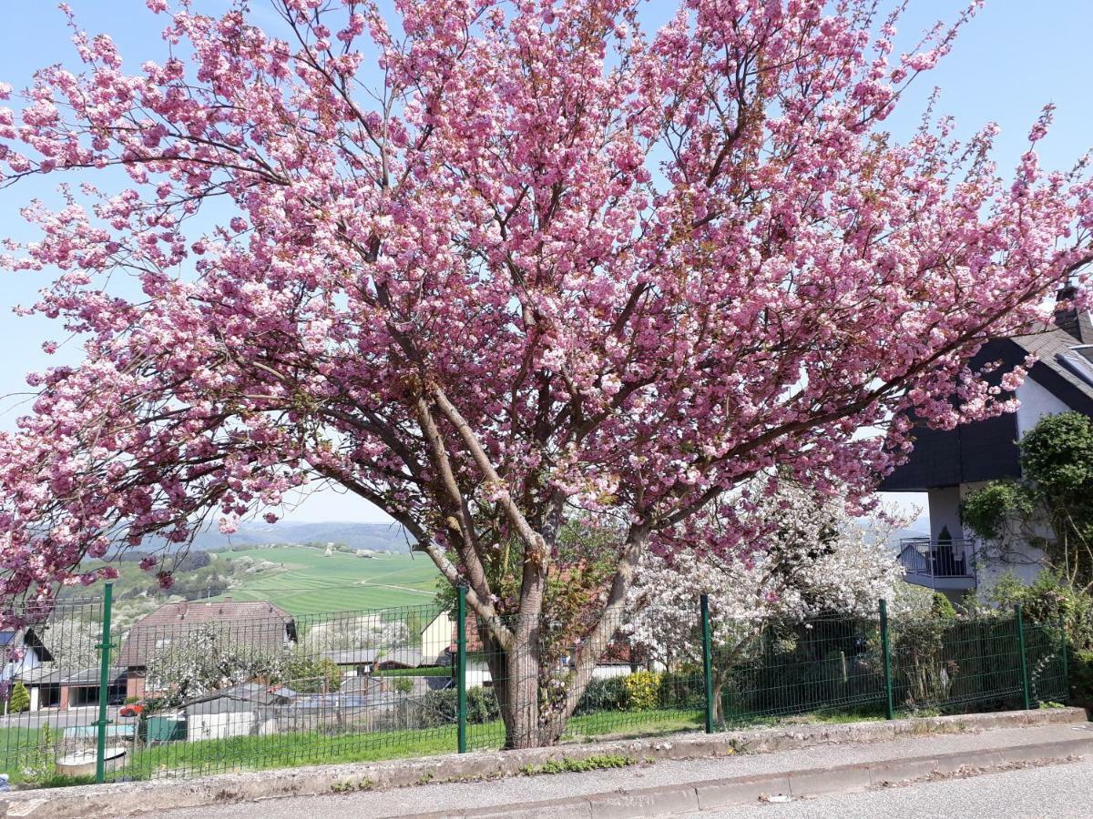 Ferienwohnung Haus Der Rosen Boppard Exterior foto